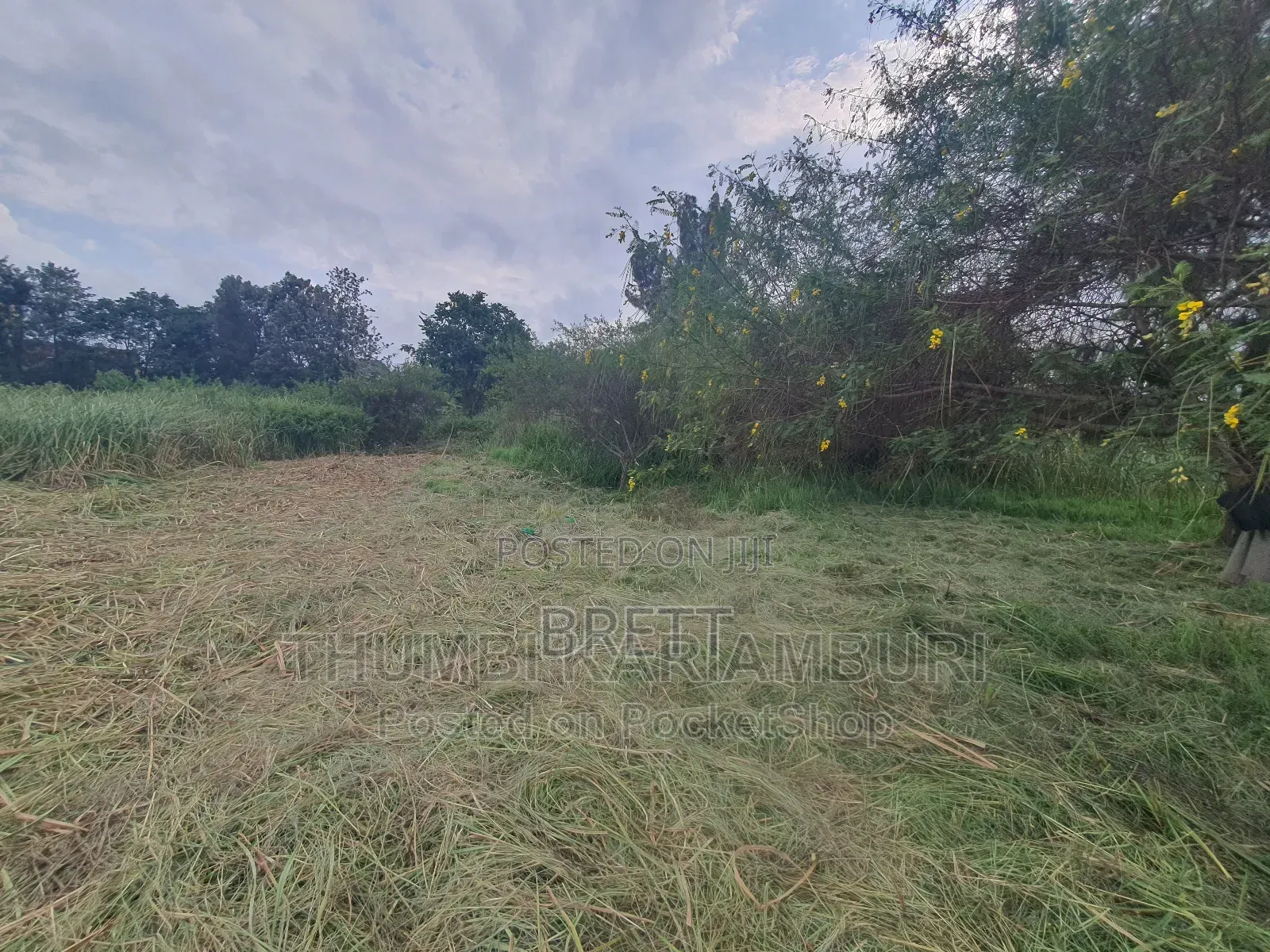 1/2 Acre Prime Land for Lease at Mirema Lane Near USIU Gate B 4