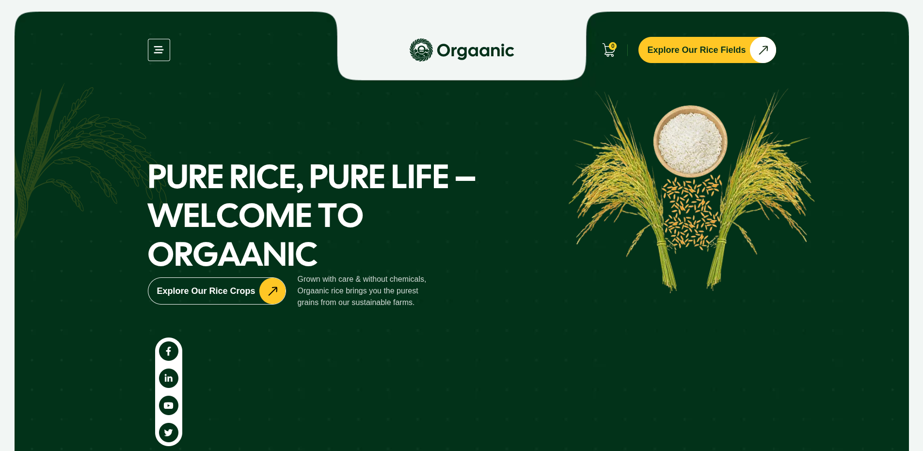 Orgaanic Home Farming and Organic Produce Website project screenshot 4