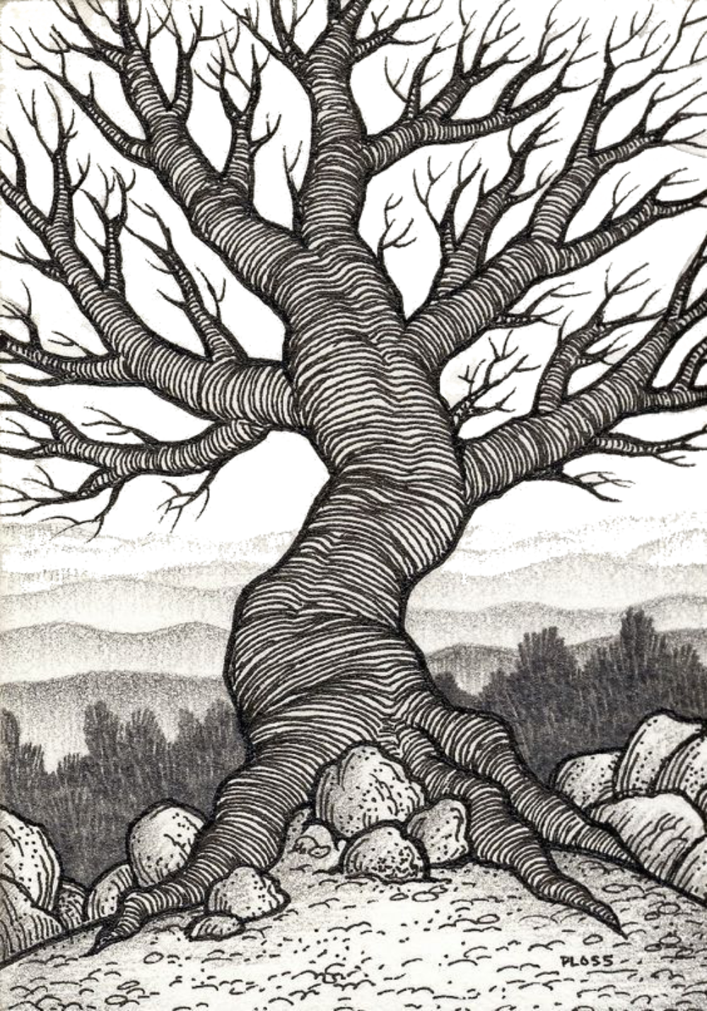 Bare Tree for Kindle Paperwhite e-reader wallpaper or screensaver featuring nature and tree