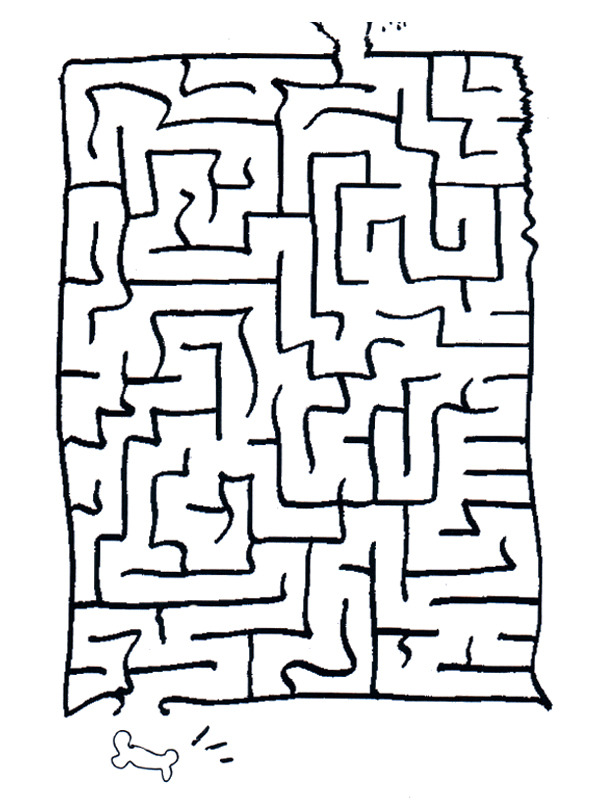Dog bone maze for Other e-reader wallpaper or screensaver featuring maze and puzzle and more