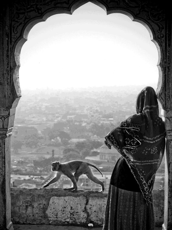 Woman and monkey on a ledge overlooking a city for Other e-reader wallpaper or screensaver featuring india and monkeys and more