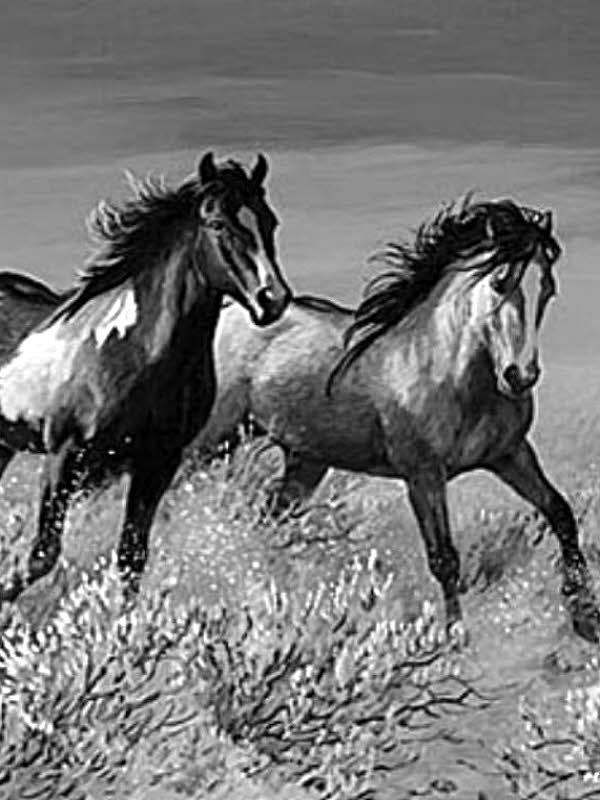 Two horses running through brush for Other e-reader wallpaper or screensaver featuring horses and wildlife and more