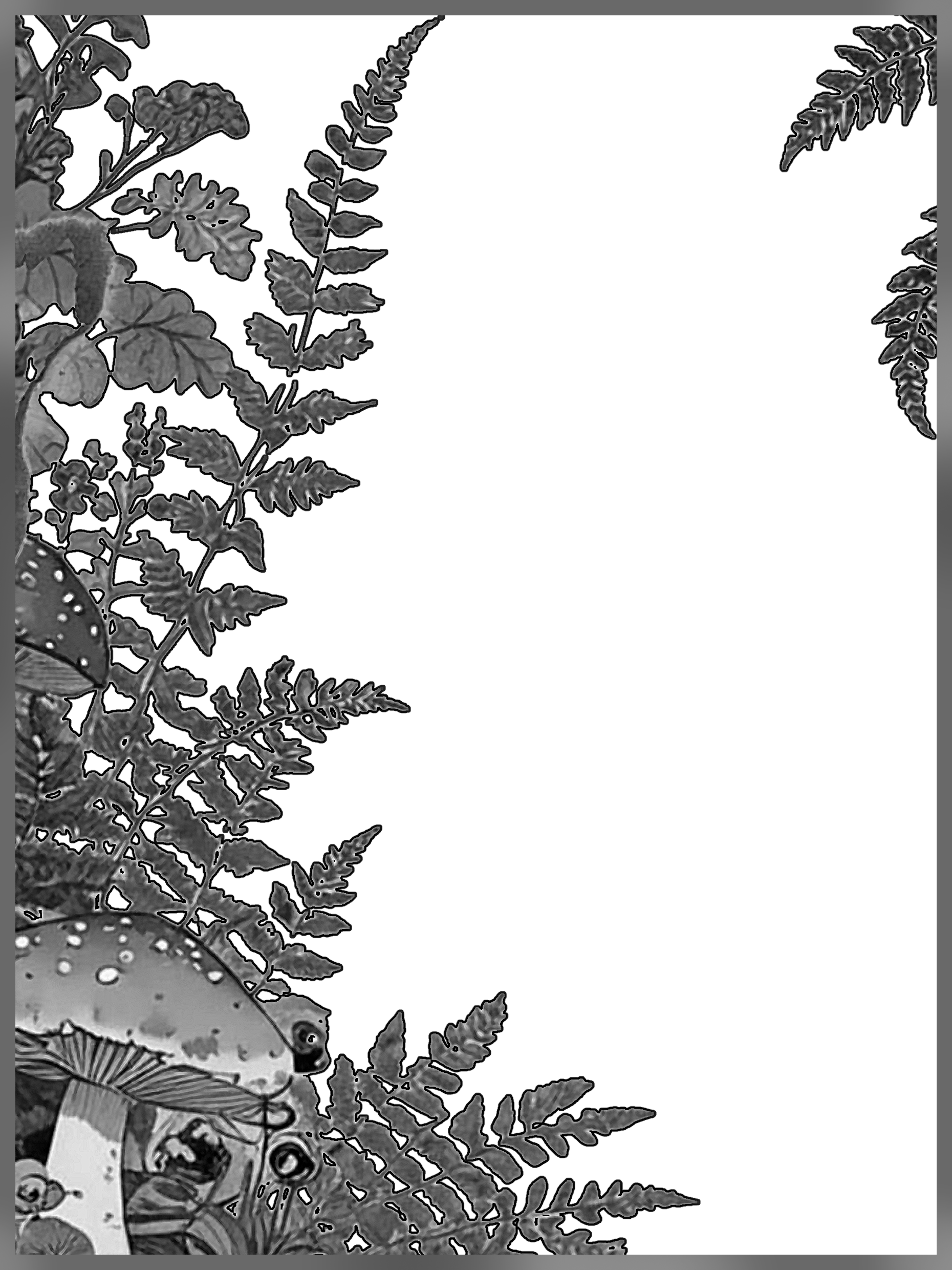 Fairy tale forest border with mushroom and ferns for Other e-reader wallpaper or screensaver featuring forest and mushrooms and more