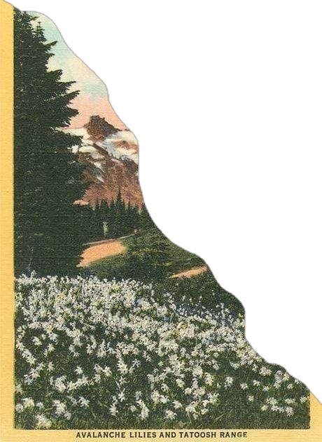Torn Postcard for Kobo Libra e-reader wallpaper or screensaver featuring stationary and color and more