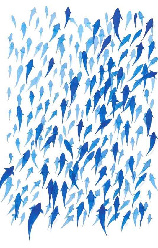 School of Fish for Kobo Libra e-reader wallpaper or screensaver featuring minimal and color and more