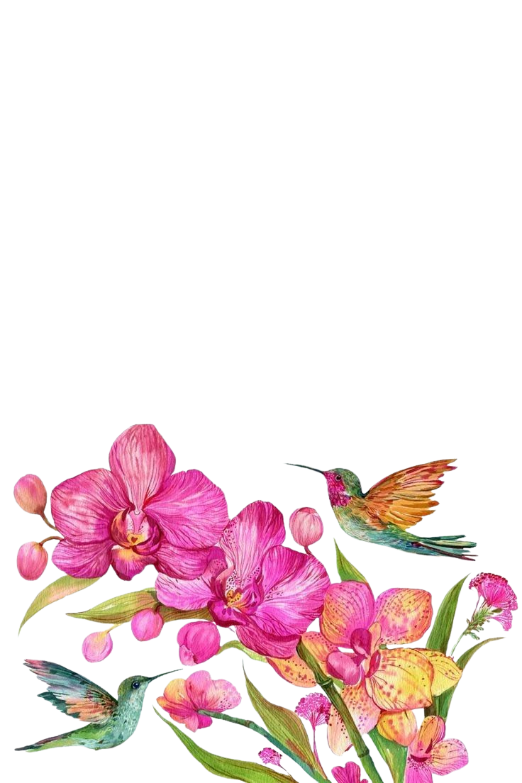 Hummingbirds and Orchids for Kobo Clara e-reader wallpaper or screensaver featuring nature and orchid and more