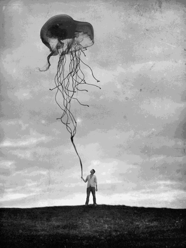 Man holds jellyfish kite on grassy hill for Other e-reader wallpaper or screensaver featuring jellyfish and kite and more