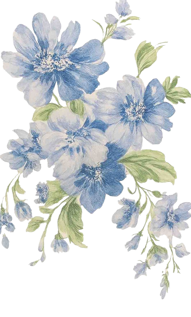 Drawing of Blue Cornflowers for Kobo Libra e-reader wallpaper or screensaver featuring nature and flower and more