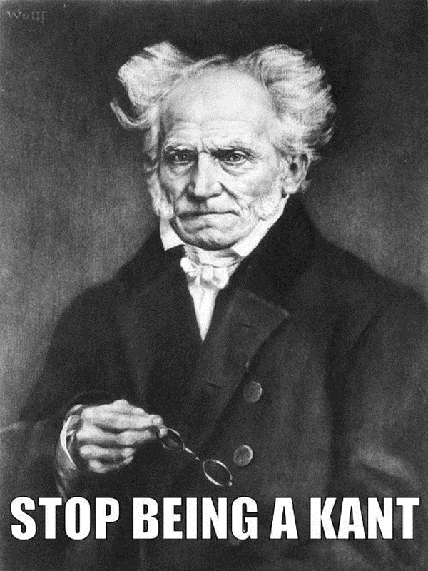Arthur Schopenhauer meme for Other e-reader wallpaper or screensaver featuring meme and philosophy and more