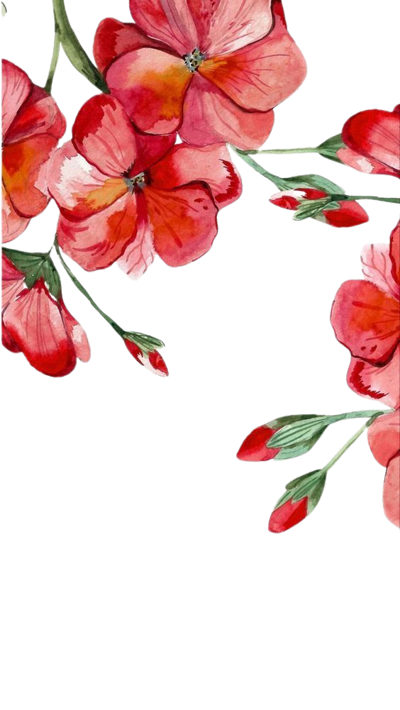 Red Flowers for Kobo Libra e-reader wallpaper or screensaver featuring nature and flower and more