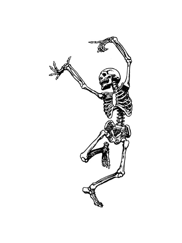 Dancing Skeleton for Other e-reader wallpaper or screensaver featuring skeleton and dancing and more