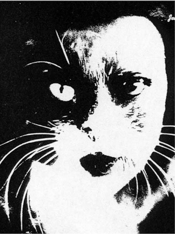 Black and white close-up of a cat's face for Other e-reader wallpaper or screensaver featuring cat and animal and more