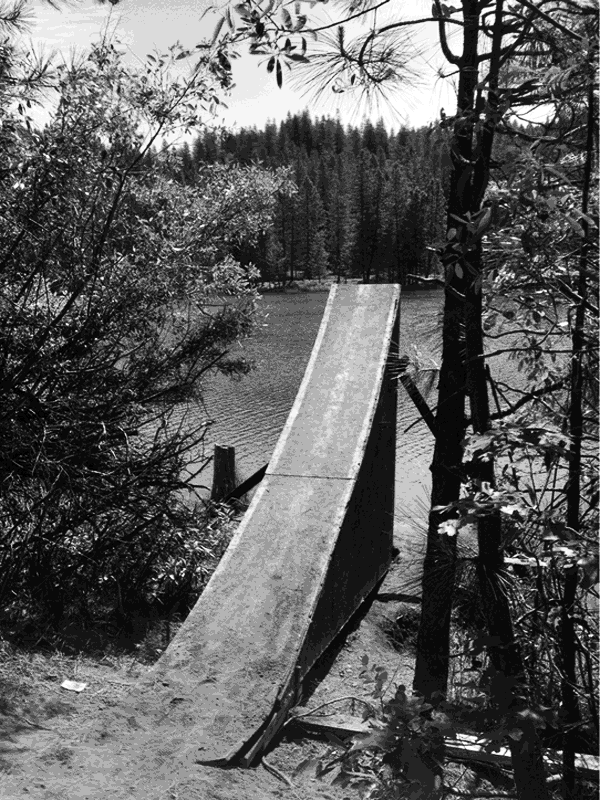 Wooden ramp leading to a lake in a forest for Other e-reader wallpaper or screensaver featuring ramp and lake and more