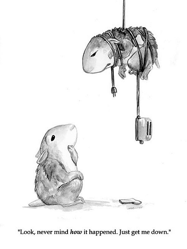 Creature tied up and hanging above a toaster for Other e-reader wallpaper or screensaver featuring drawing and whimsical and more