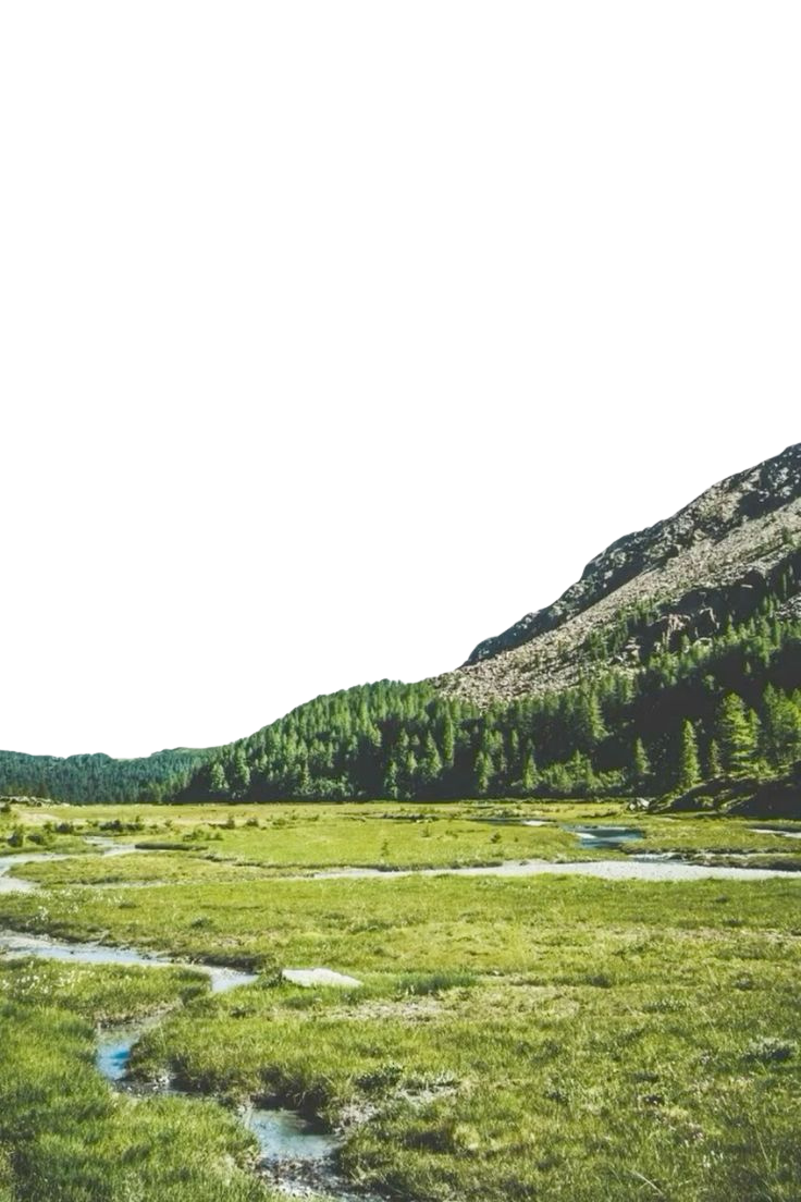 Creek in a field for Kobo Clara e-reader wallpaper or screensaver featuring outdoors and nature and more