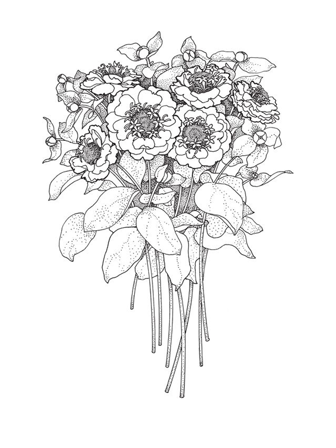 Detailed botanical illustration of anemone flowers and leaves for Other e-reader wallpaper or screensaver featuring botanical and illustration and more