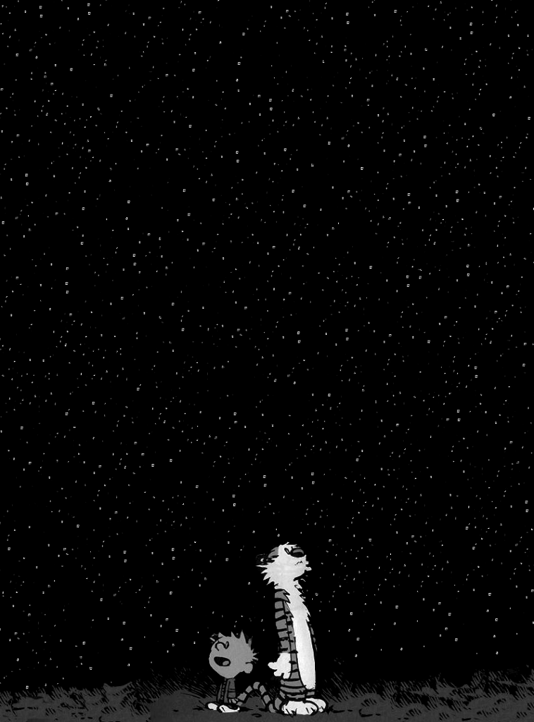 Calvin and Hobbes looking at the night sky for Other e-reader wallpaper or screensaver featuring calvin and hobbes and more