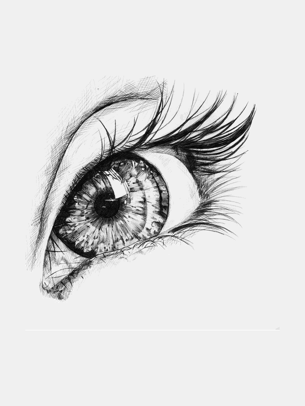 Close-up Pen Drawing of a Human Eye for Other e-reader wallpaper or screensaver featuring drawing and eye and more