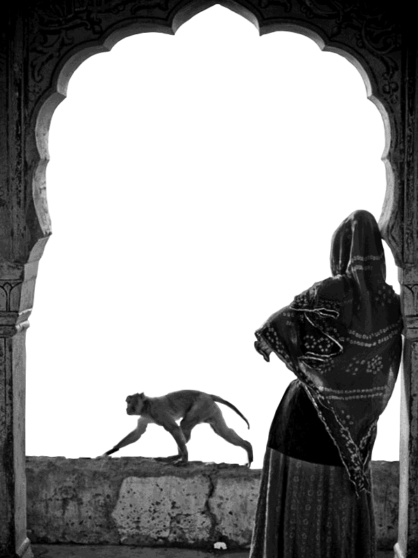 Woman and monkey on a ledge for e-reader e-reader wallpaper or screensaver featuring transparent and black and white