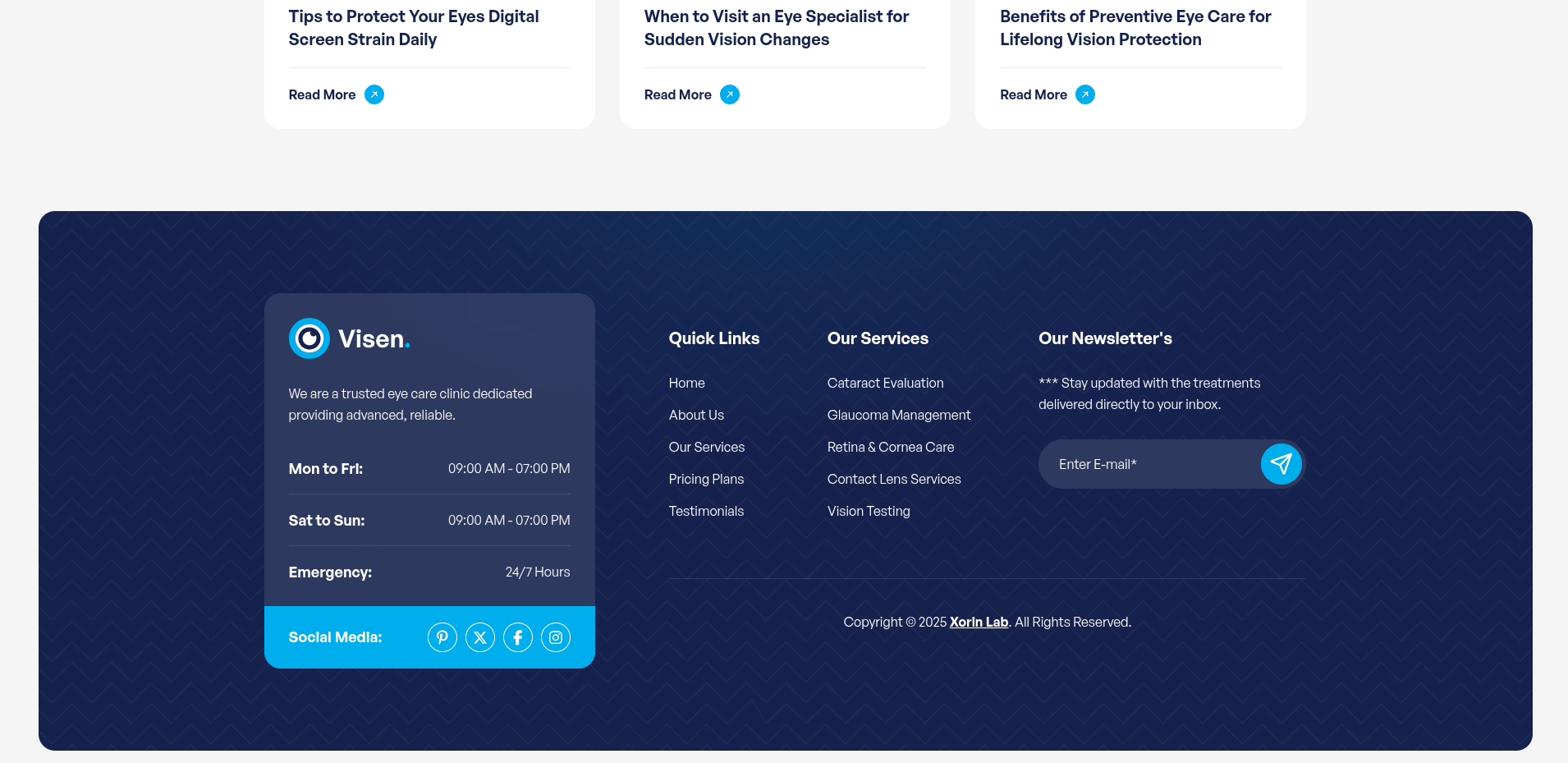 Visen Corporate Website project screenshot 4