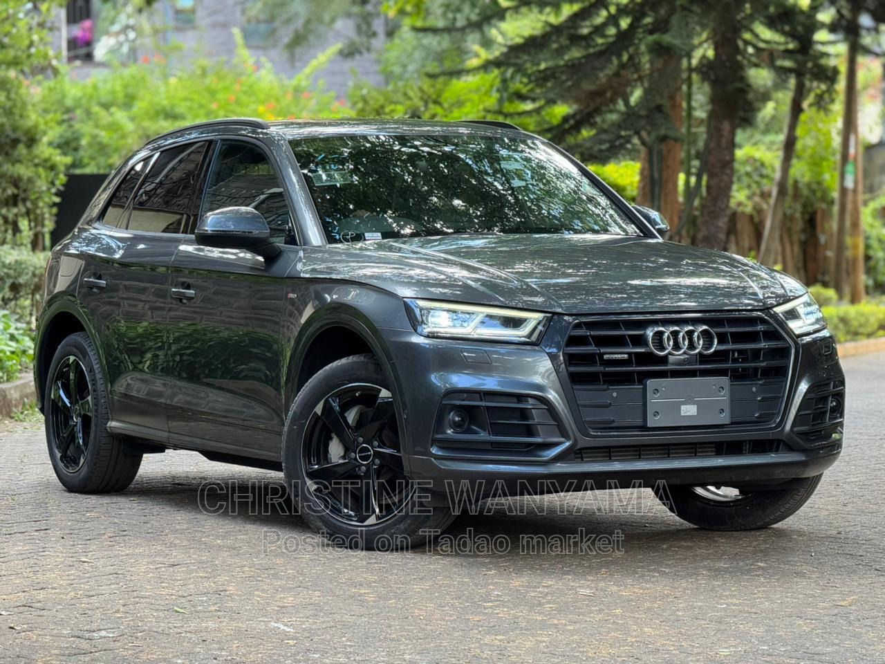 AUDI Q5-Line 2
