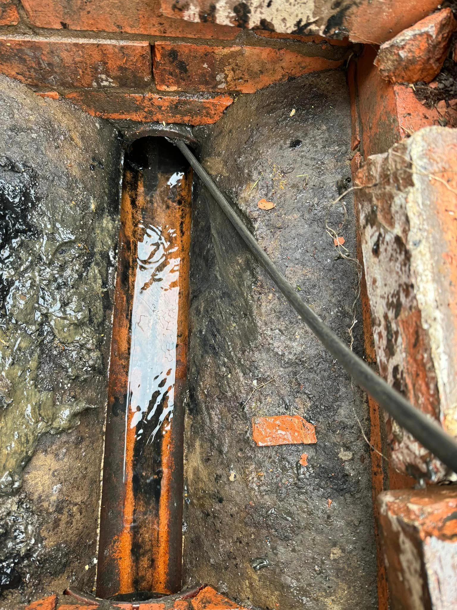 Drain Inspection