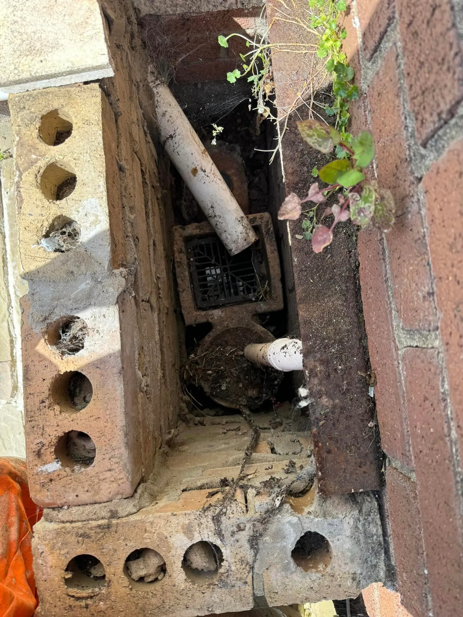 Drain Repair In Lincoln