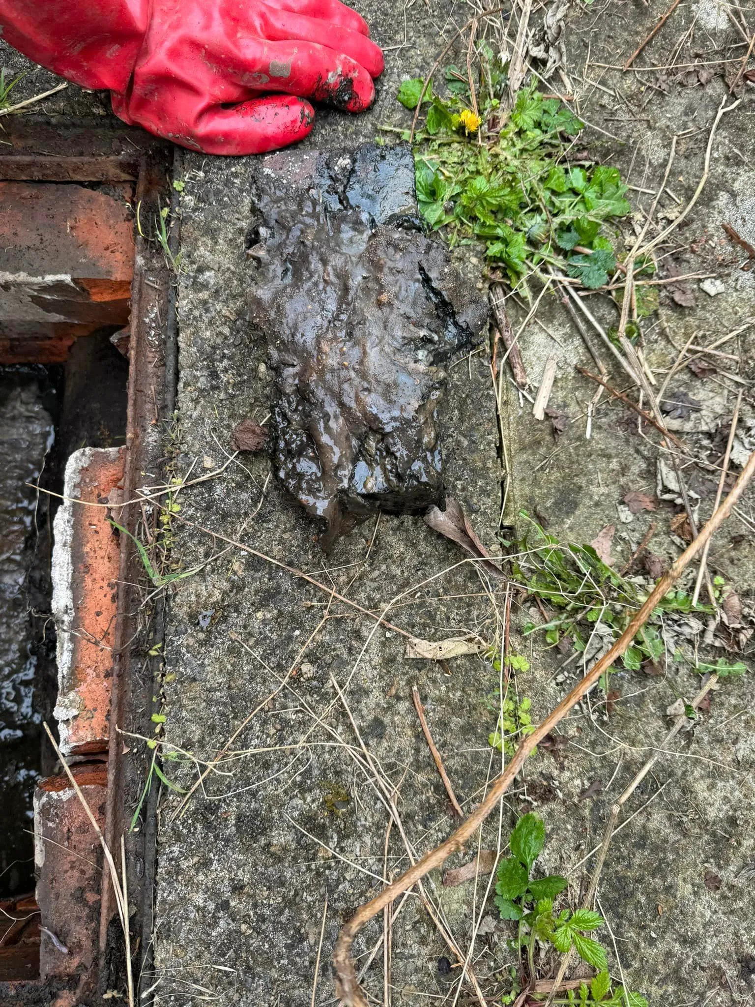 Blocked Sewer In Lincoln