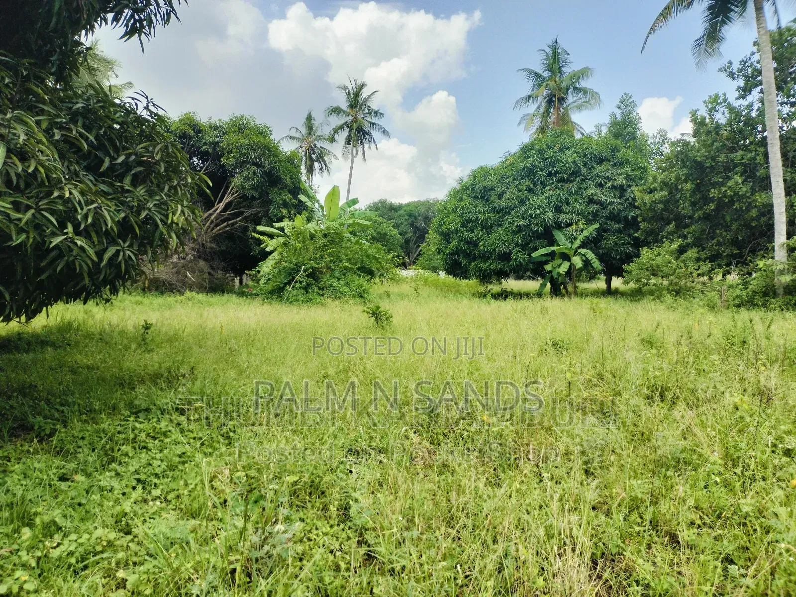 Own and Pay in Instalments 5