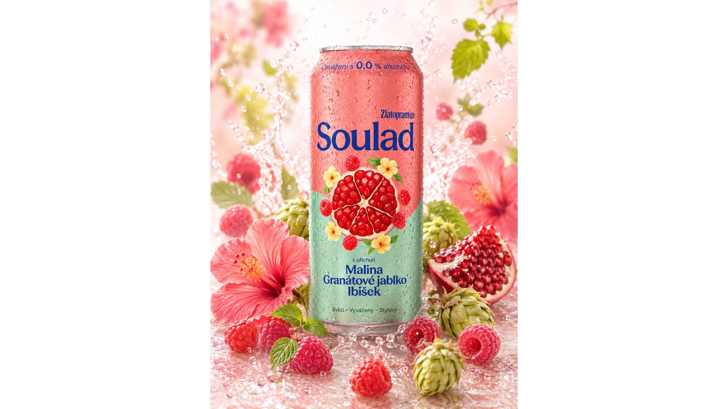 SOULAD: Raspberry, Pomegranate & Hibiscus (BEER)  0,5l