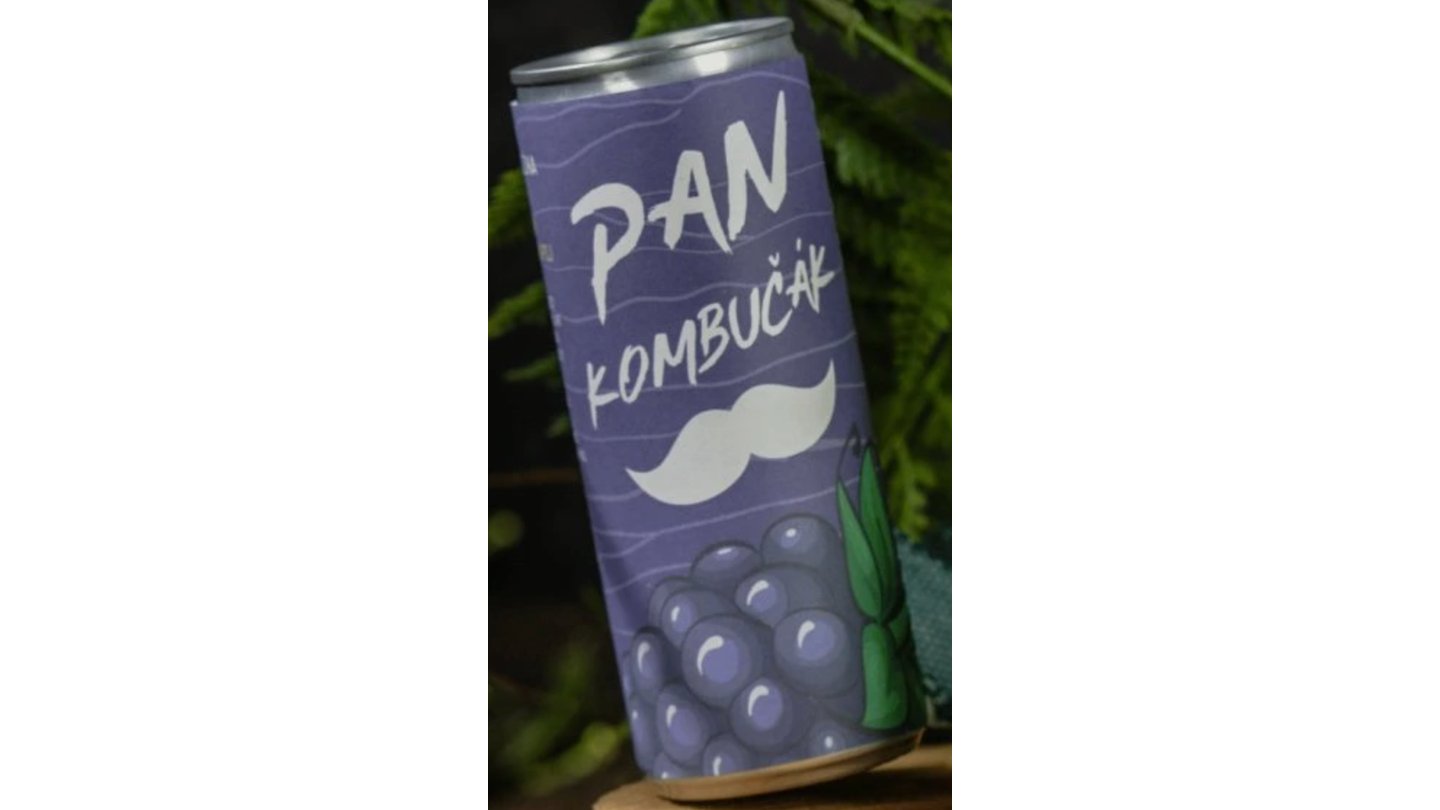 Pan Kombučák - Ostružina