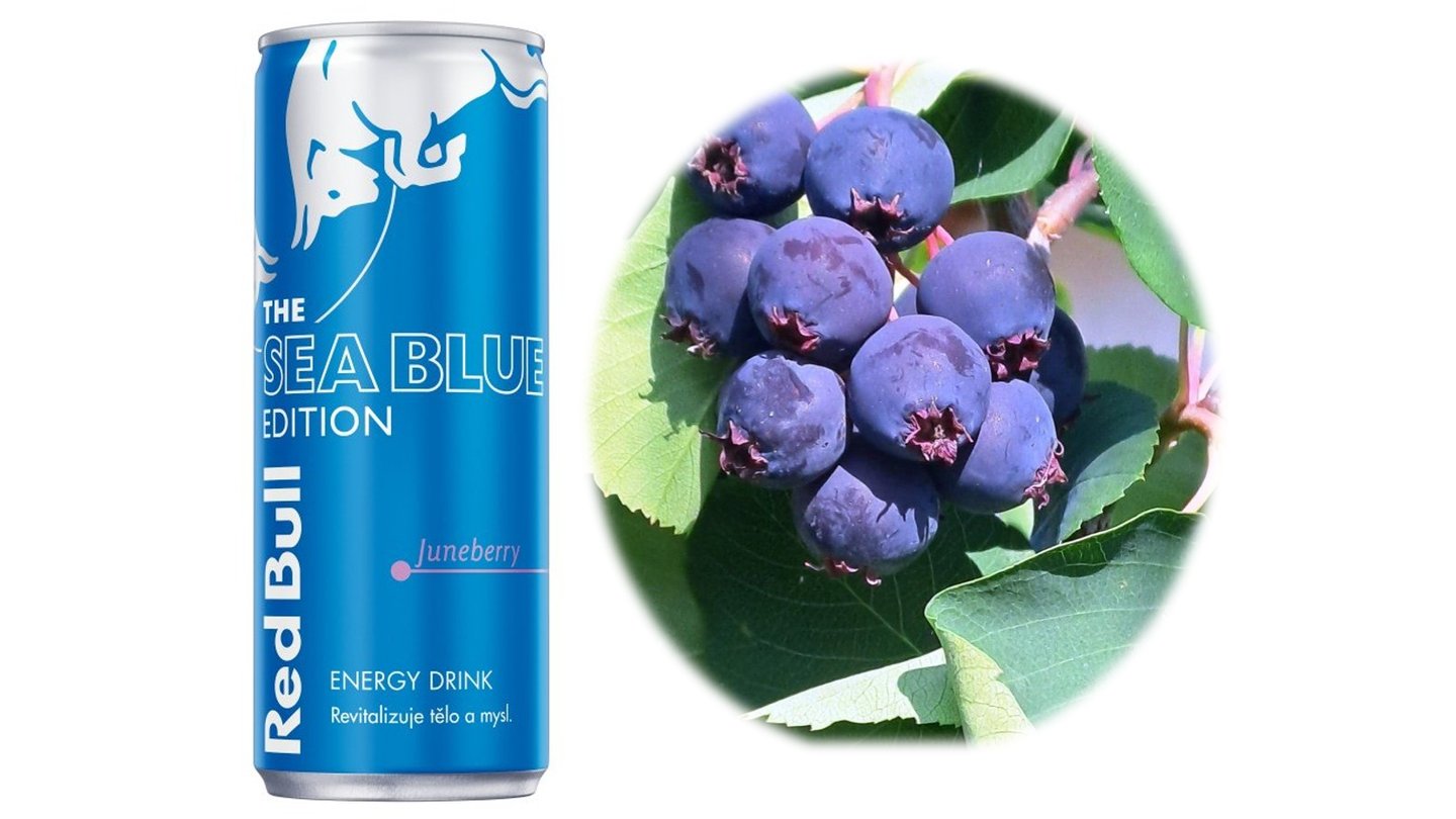 Red Bull SEA BLUE 250ml.