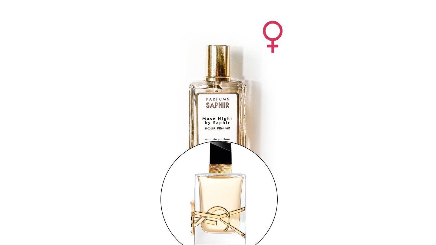 SAPHIR - Muse Night 50ml