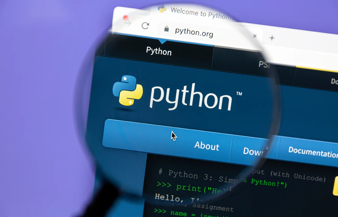 Best Python Courses Online for All Levels | STEM Link
