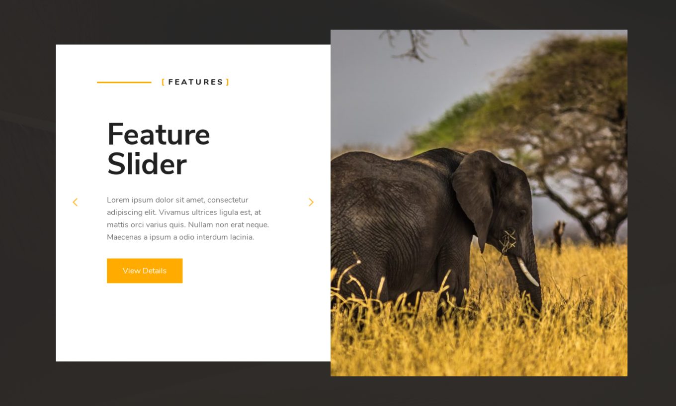 Feature and Benefits 5