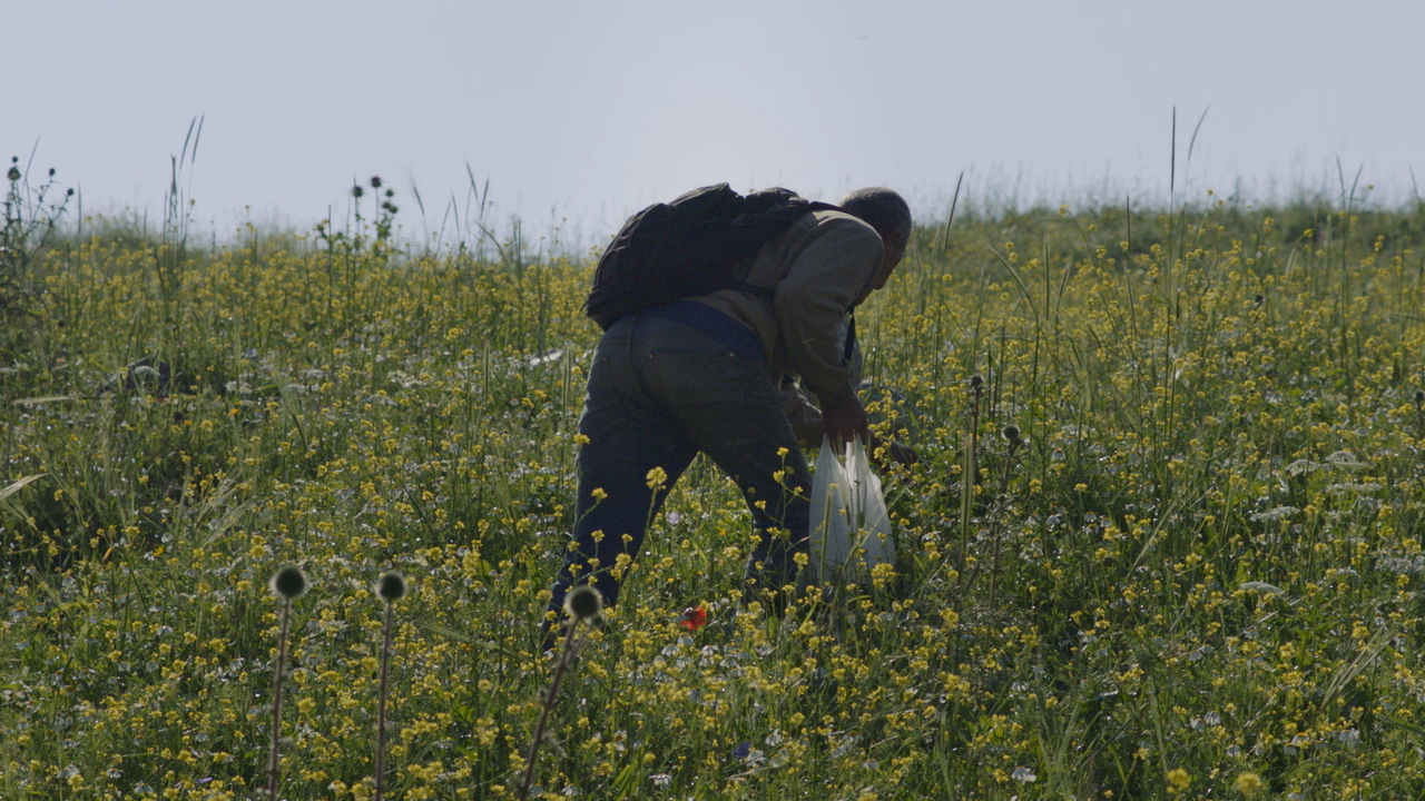 Foragers