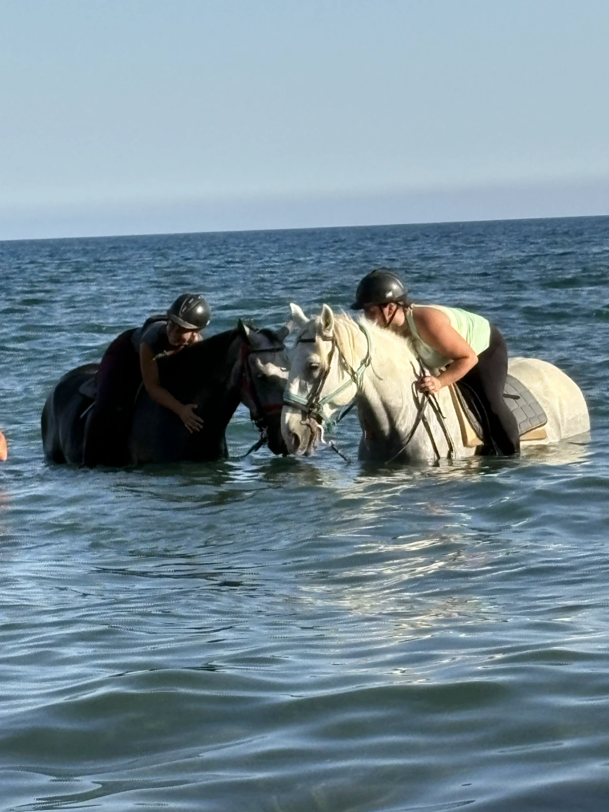Beach Ride Horse Riding Tour 6/8