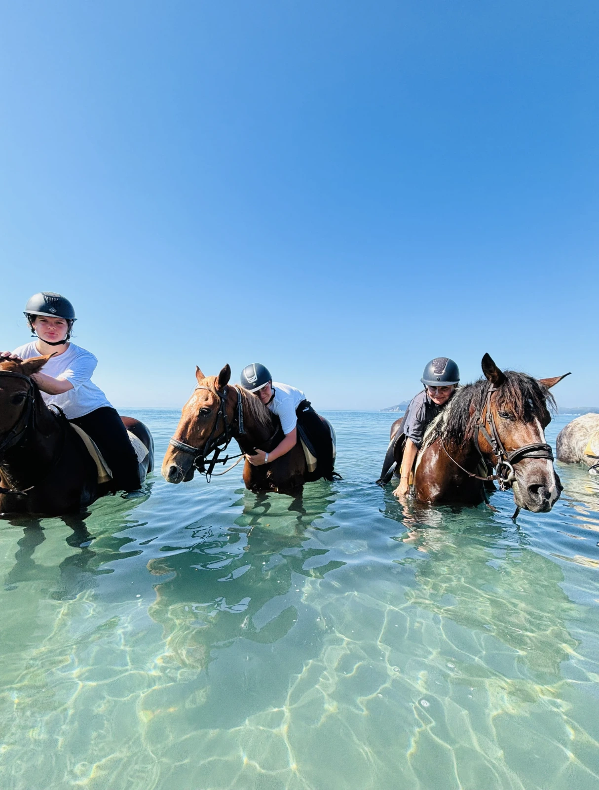 Beach Ride Horse Riding Tour — 3