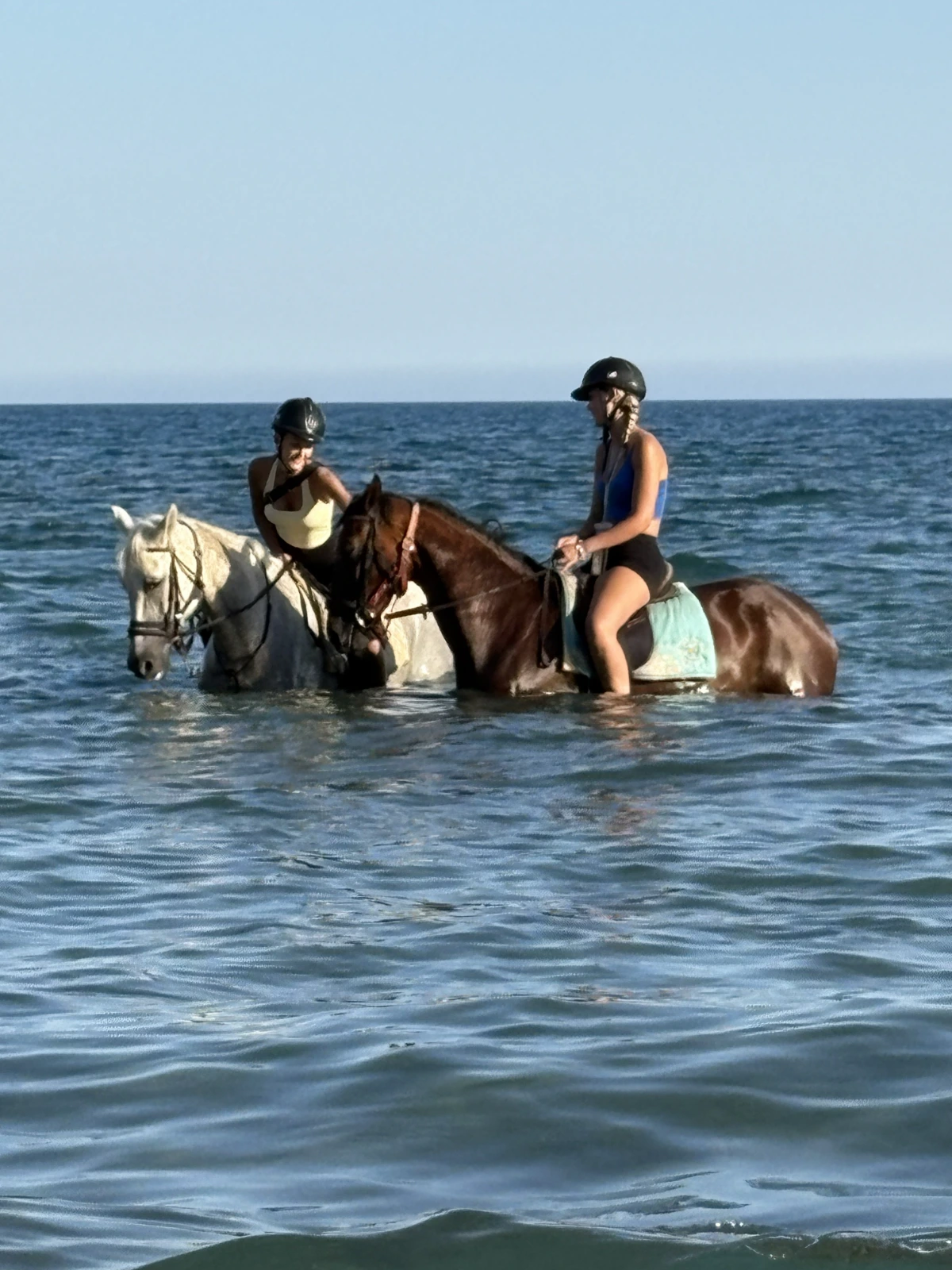 Beach Ride Horse Riding Tour — 5