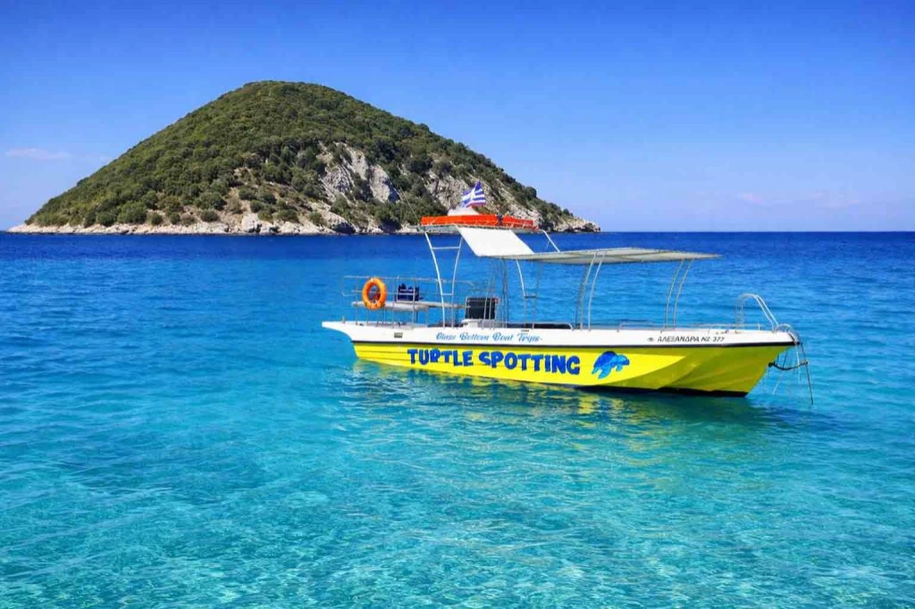 Turtle Spotting Tour in Zakynthos 4 hours 1/1