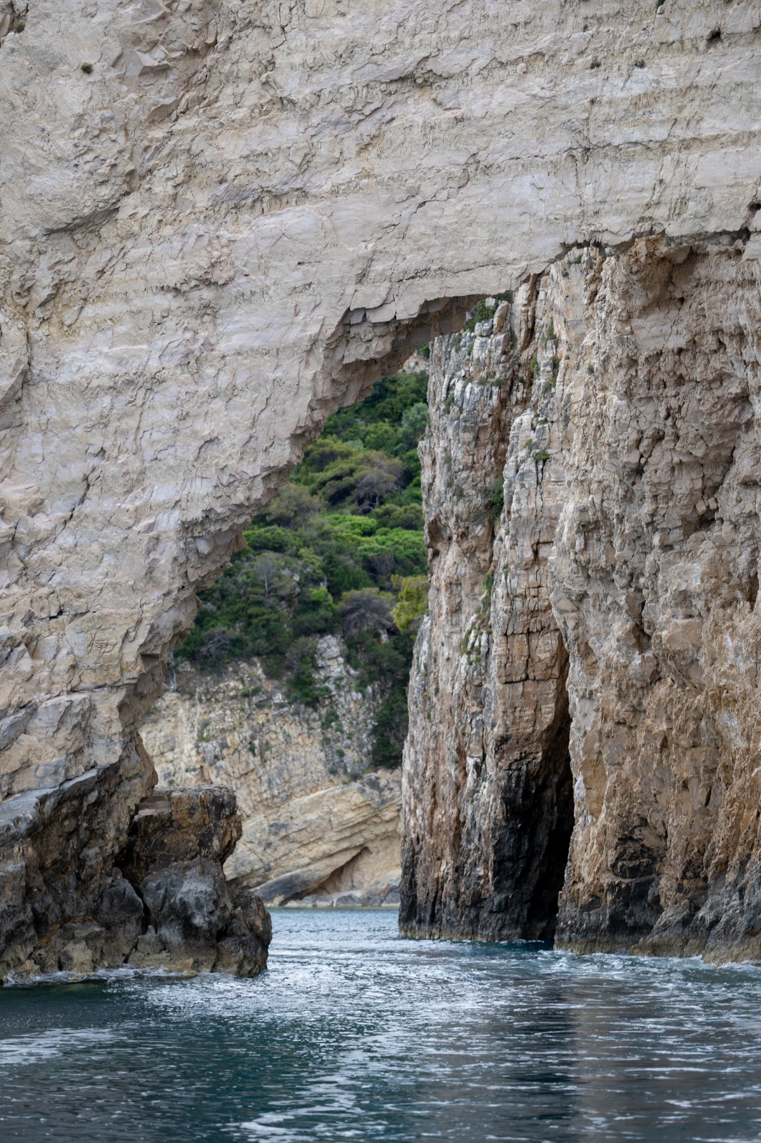 4 hour private cruise with Skipper at the National Marine Park of Zakynthos 2/6