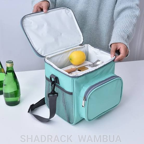 Thermal insulated lunch bag 2