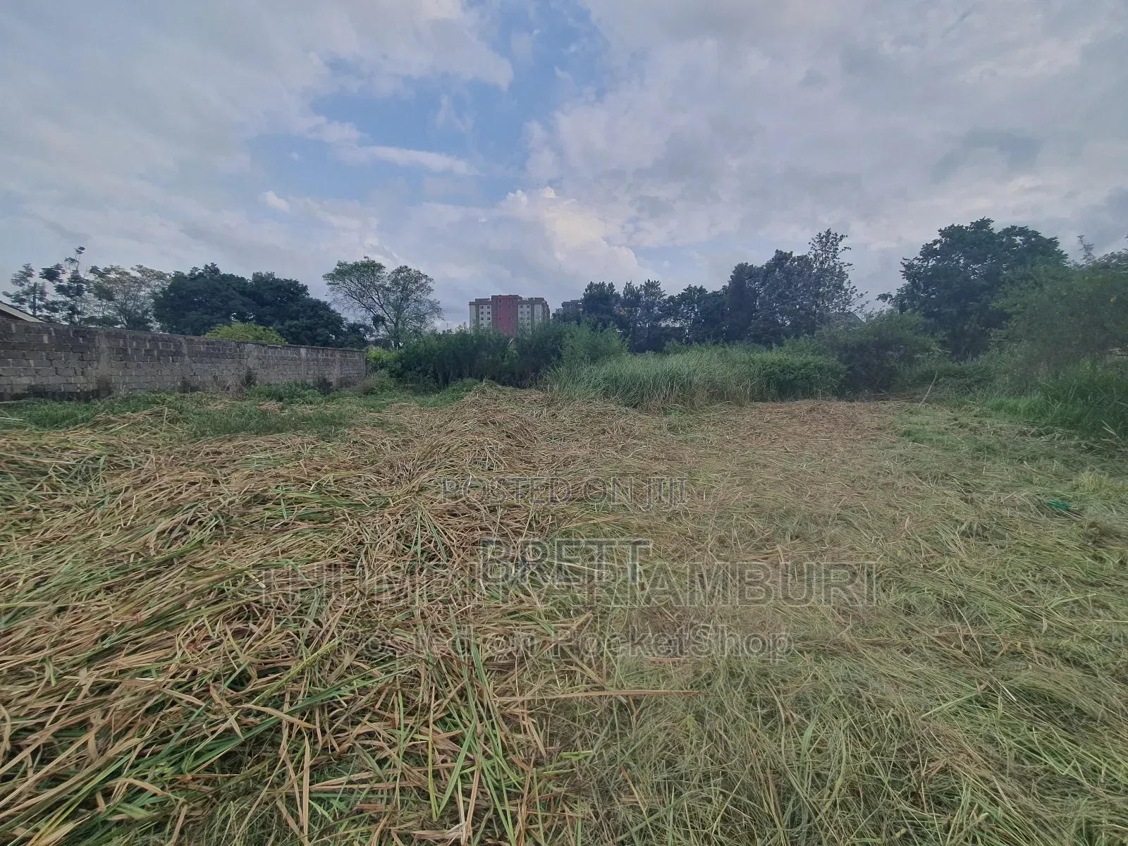 1/2 Acre Prime Land for Lease at Mirema Lane Near USIU Gate B 3