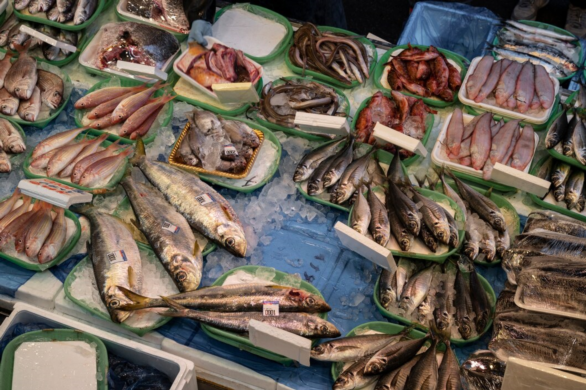 What Are The Types of Dry Fish