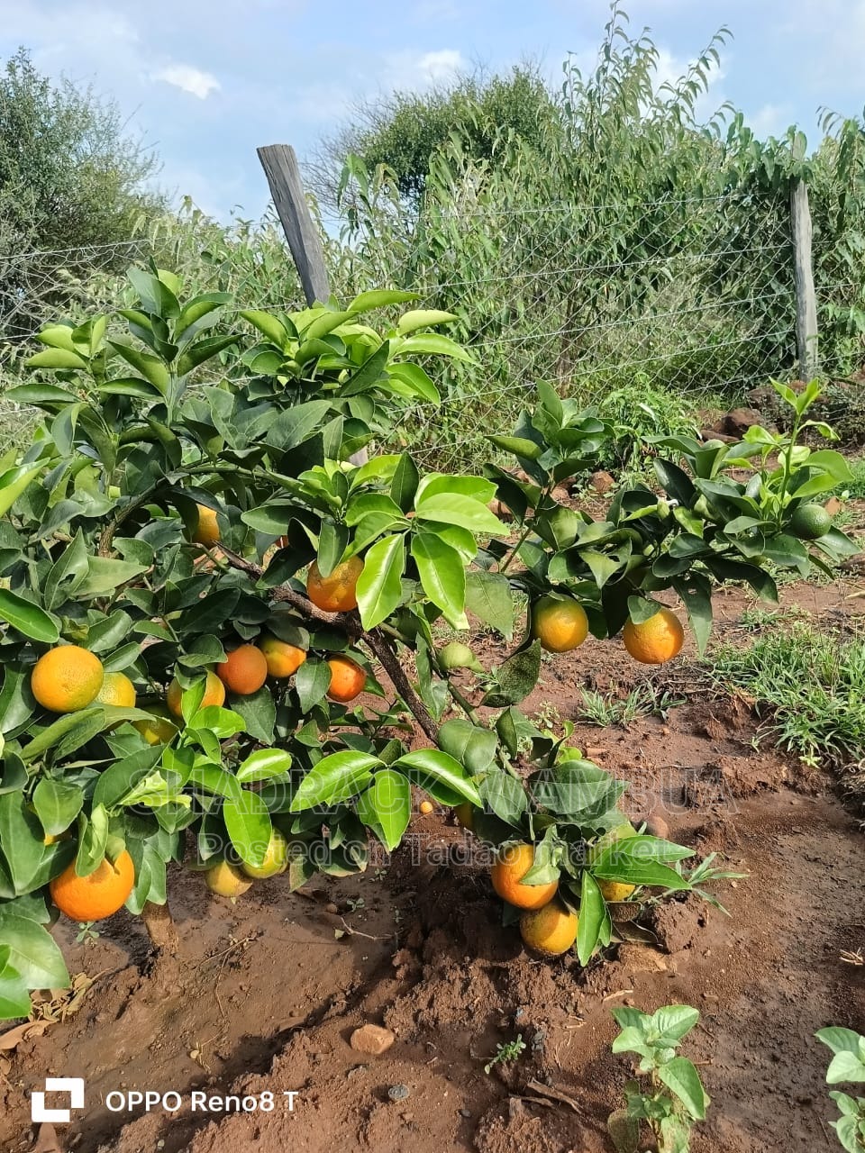 Consultancy Services 3