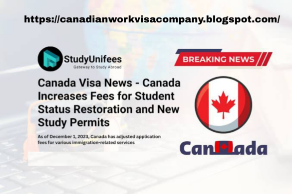 Canadian work company visa|study visa 2025