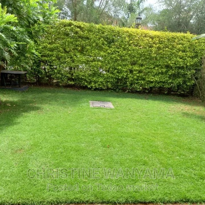 Manssionate for sale 2