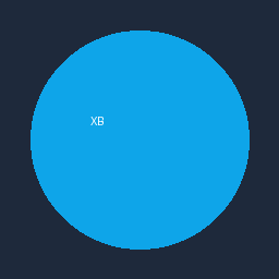 XBPlayer