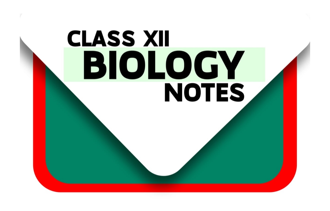 Class 12 Biology notes 