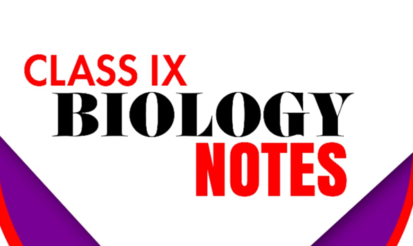 Class 9 Biology notes